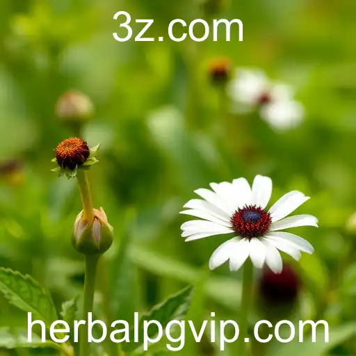 Explorando a Tendência dos Jogos Herbais: herbalpg em Foco