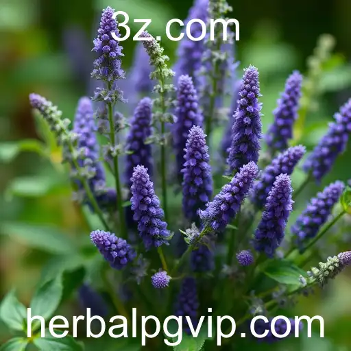 O Resgate das Ervas Medicinais: Herbalpg e o Retorno à Natureza