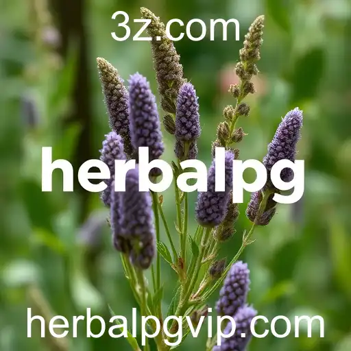 Inovações e Tendências no Mundo dos Jogos Online em 2026